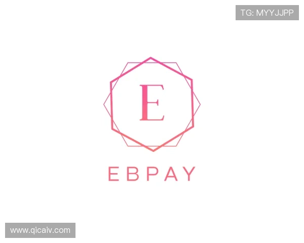 了解EBpay